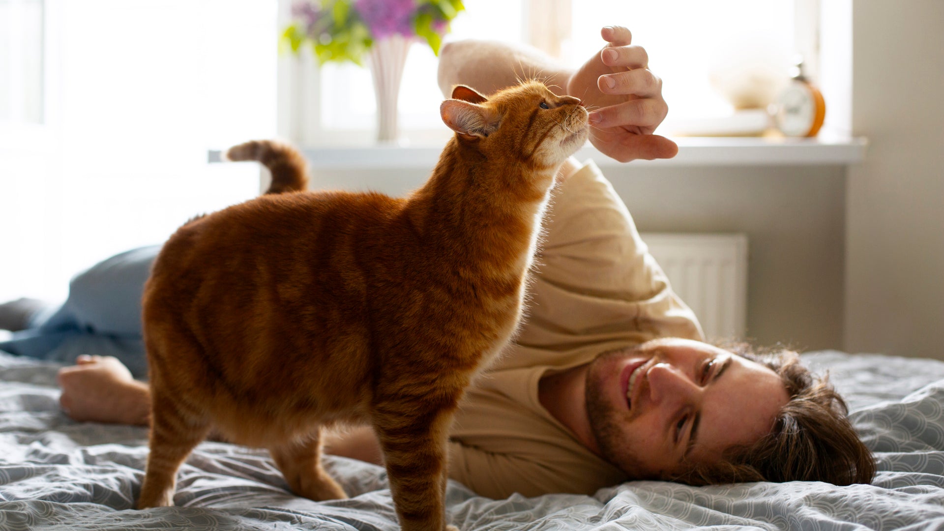 Olio di CBD per Animali: Le Evidenze Scientifiche