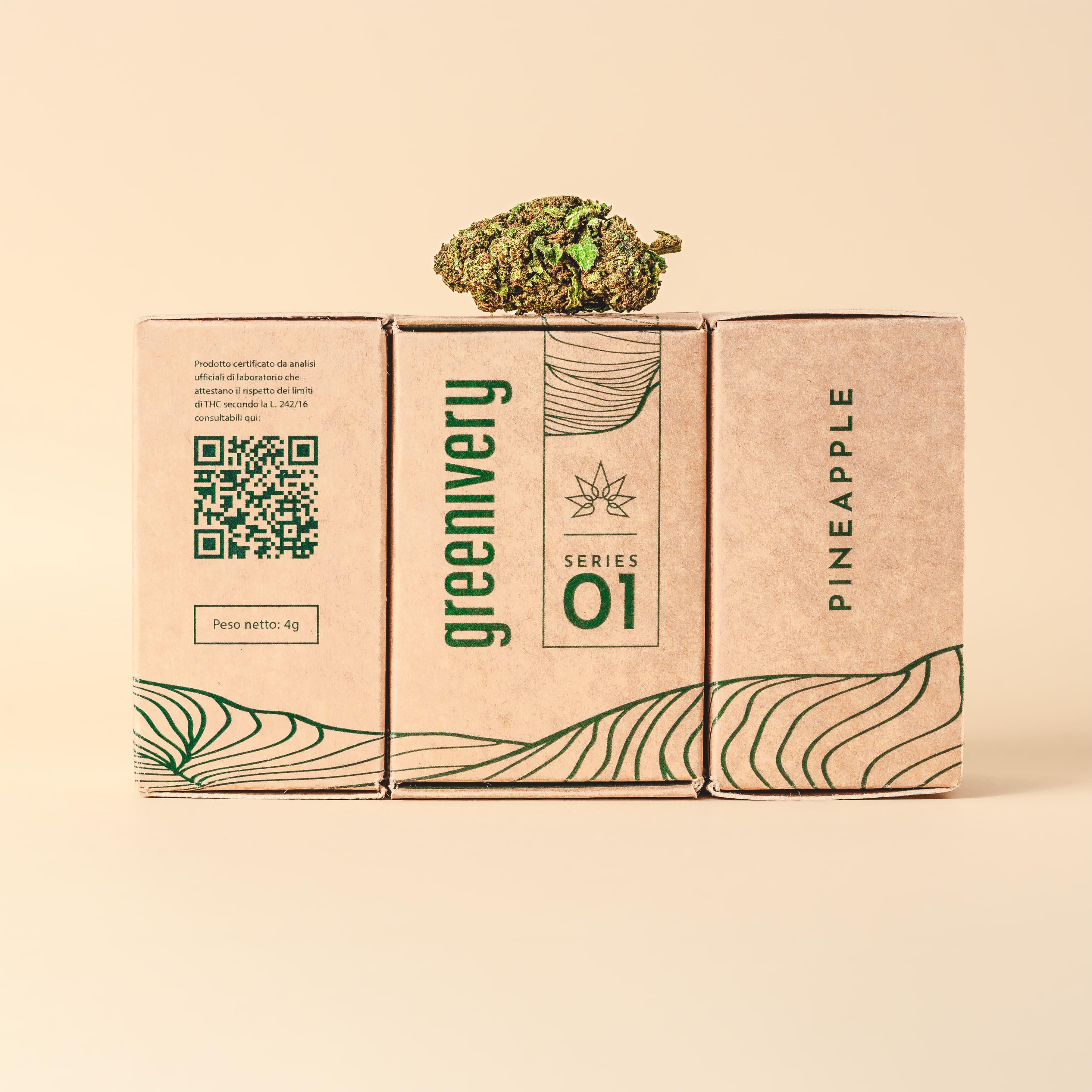 TriPack Pineapple - 12g